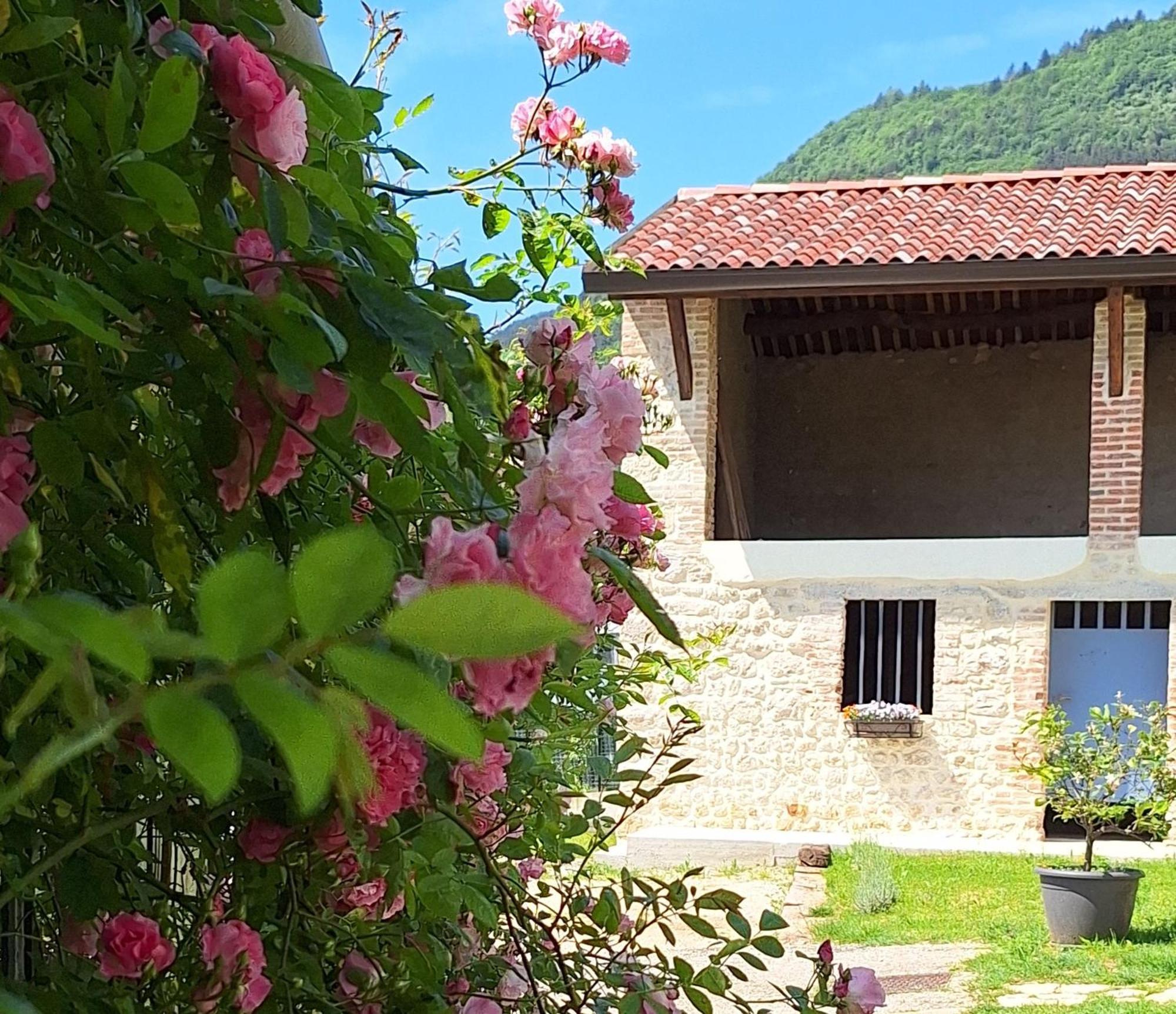 Casa Paola Apartment Borso del Grappa Ngoại thất bức ảnh